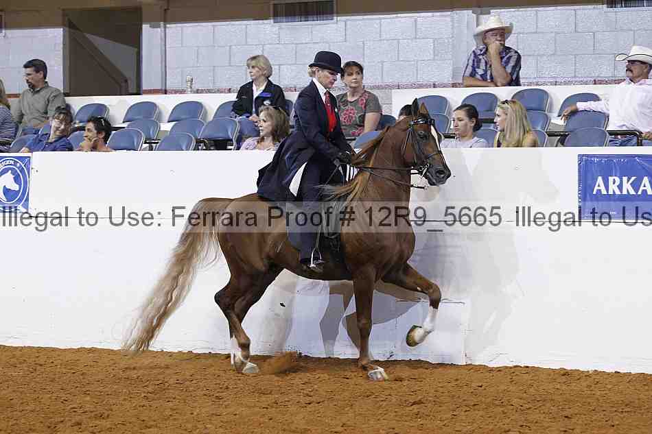 Proof 12r9_5665