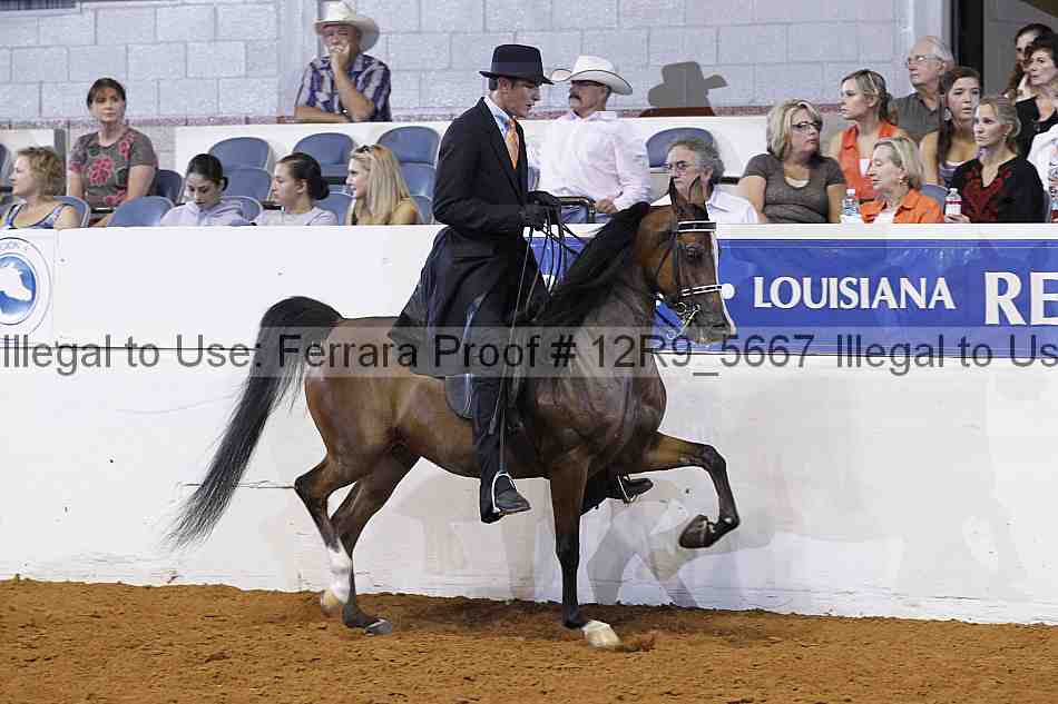 Proof 12r9_5667