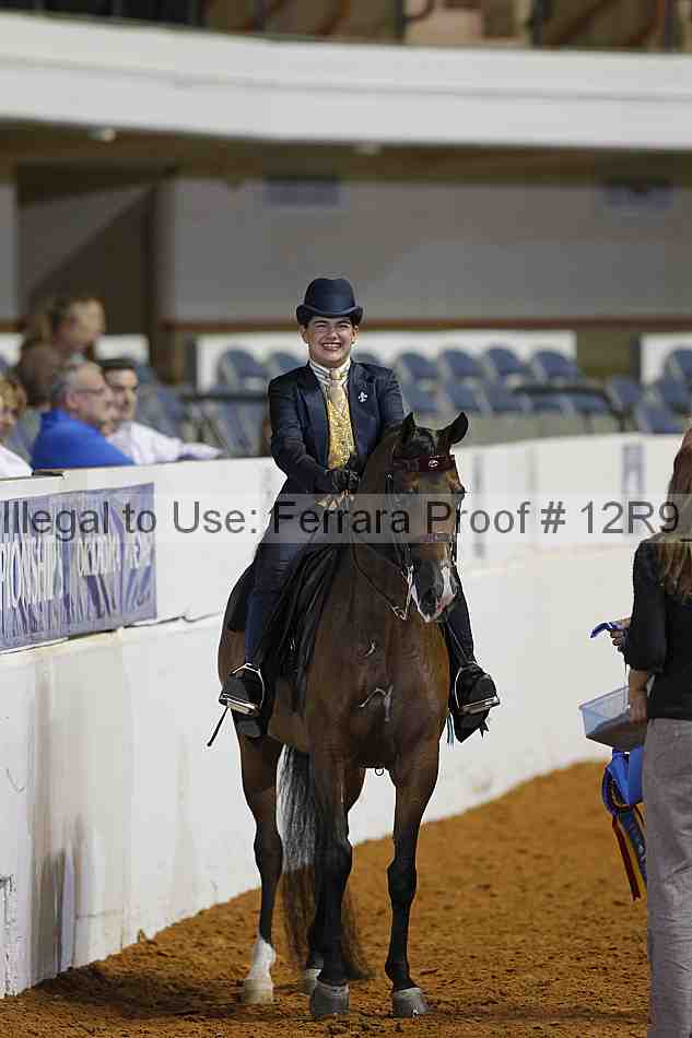 Proof 12r9_5688