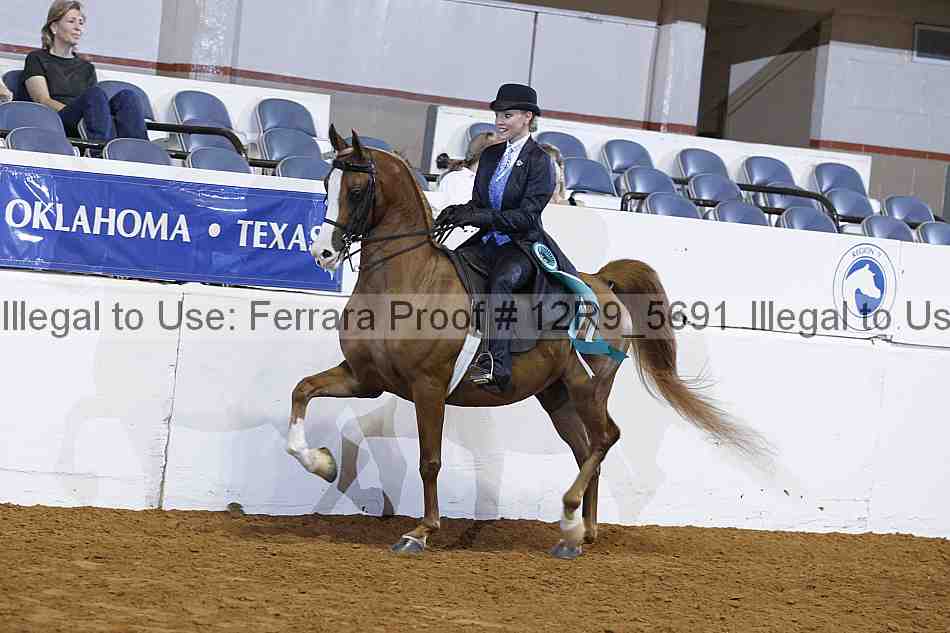 Proof 12r9_5691