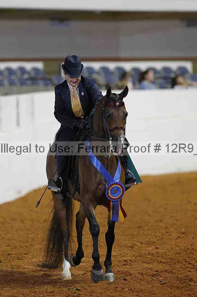 Proof 12r9_5693