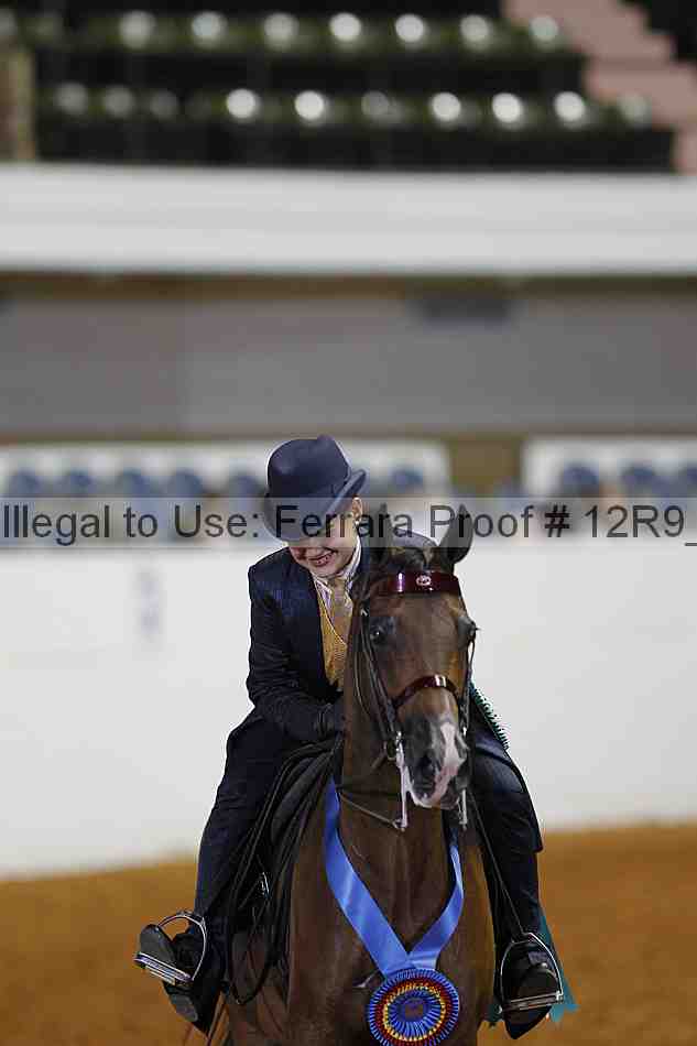 Proof 12r9_5695