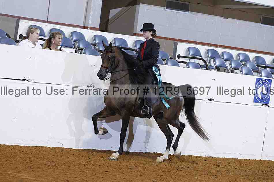 Proof 12r9_5697