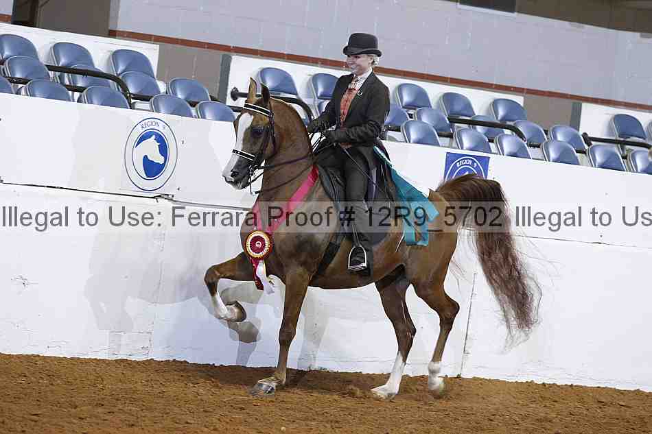 Proof 12r9_5702