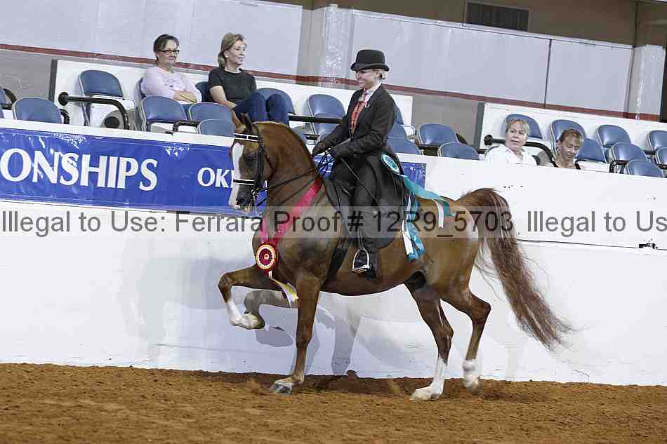 Proof 12r9_5703