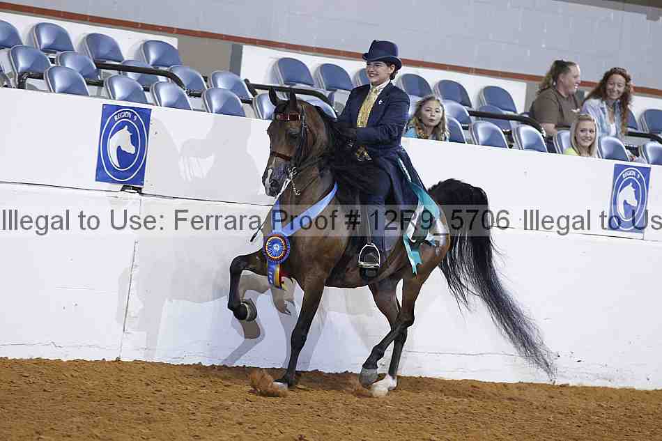 Proof 12r9_5706
