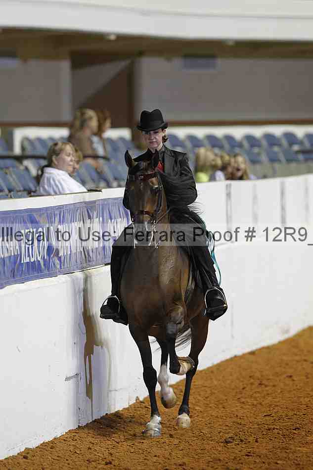 Proof 12r9_5713