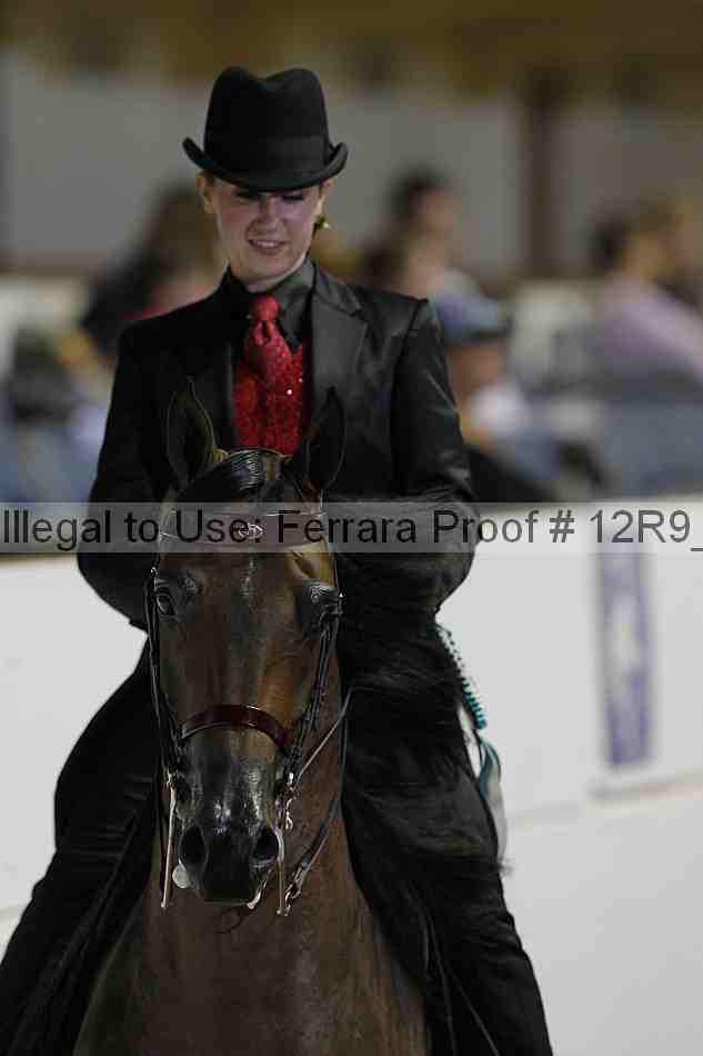 Proof 12r9_5715