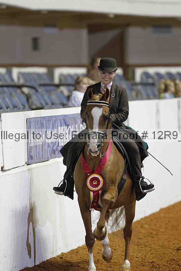 Proof 12r9_5716