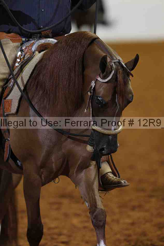 Proof 12r9_5740