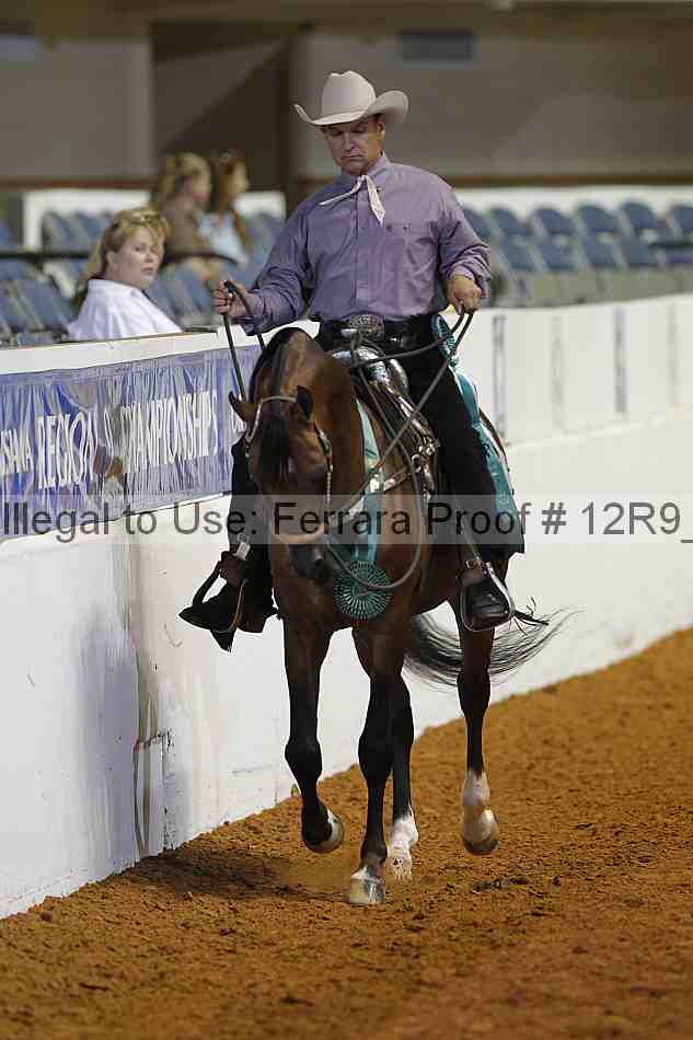 Proof 12r9_5778