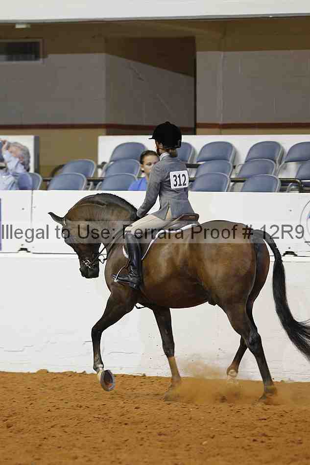 Proof 12r9_5804