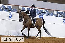 12r9_5833 proof