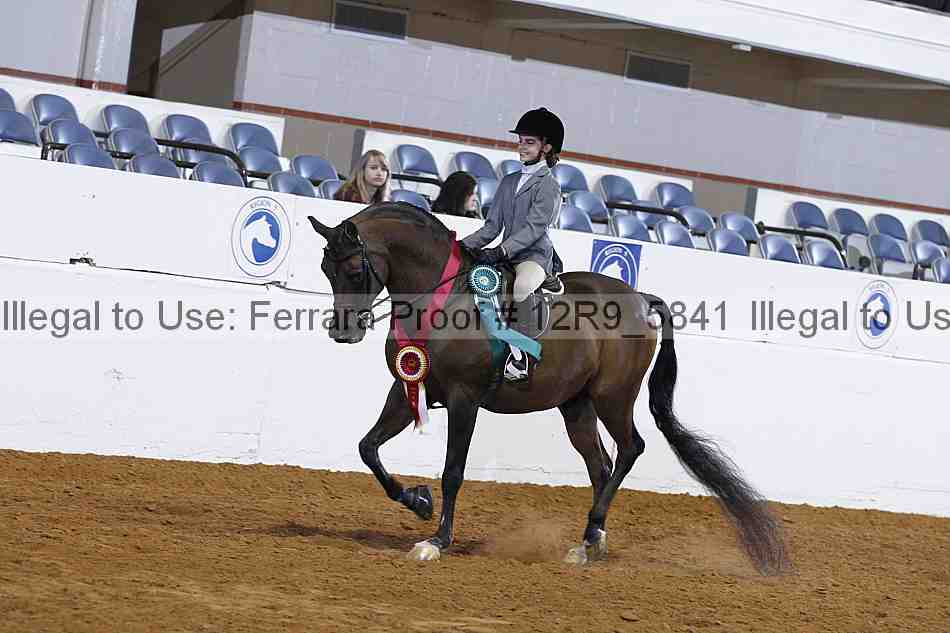 Proof 12r9_5841