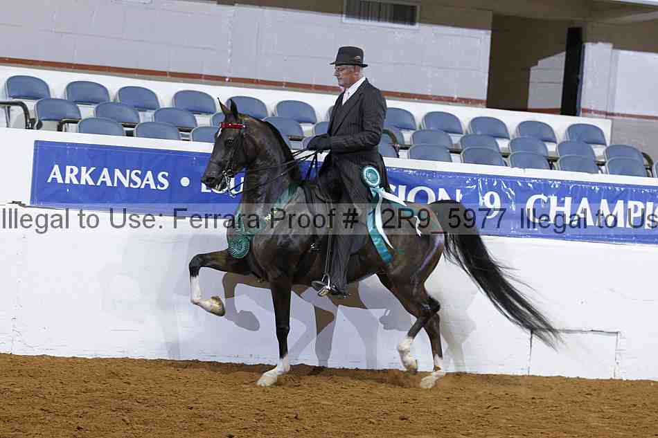 Proof 12r9_5977