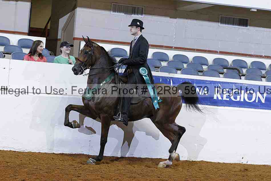 Proof 12r9_5979