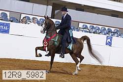 12r9_5982 proof