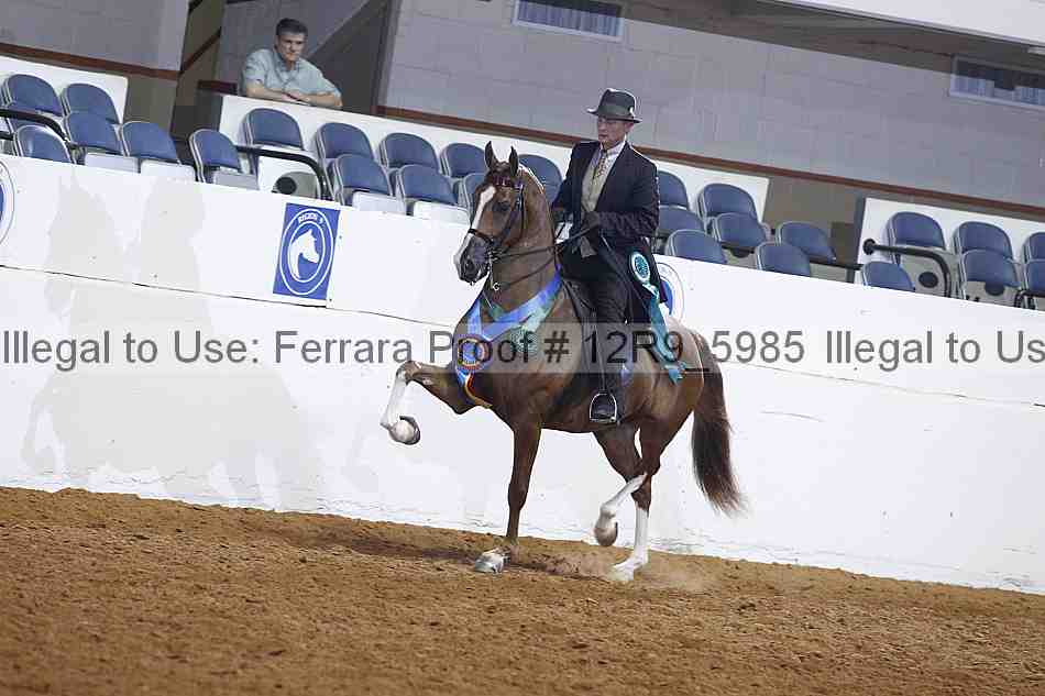 Proof 12r9_5985