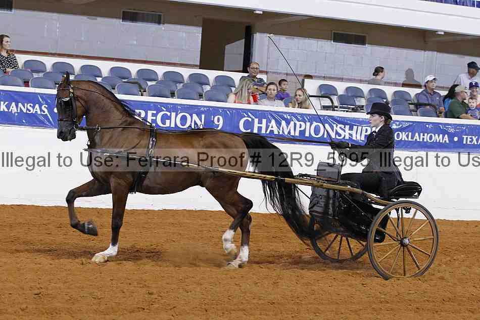Proof 12r9_5995