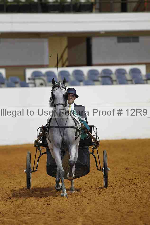 Proof 12r9_6036
