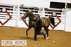 12r9_6052 proof