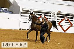 12r9_6053 proof