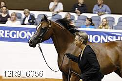 12r9_6056 proof