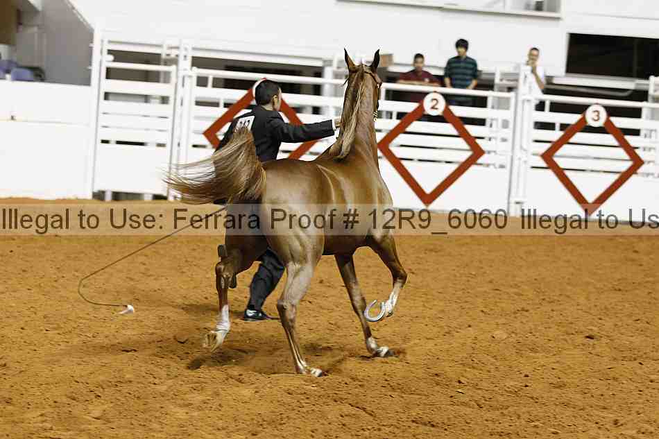 Proof 12r9_6060