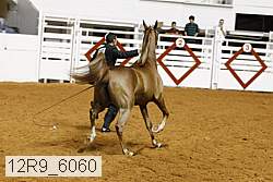 12r9_6060 proof