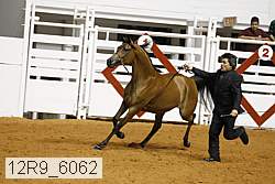 12r9_6062 proof