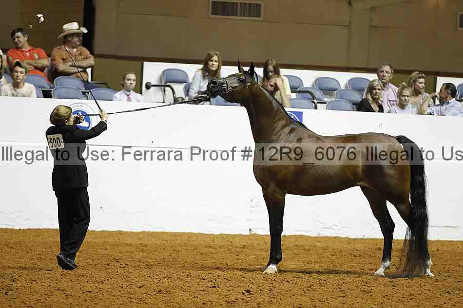 Proof 12r9_6076
