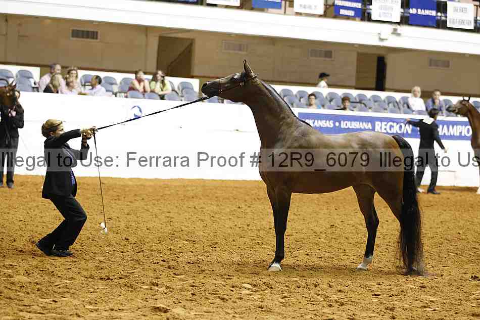 Proof 12r9_6079