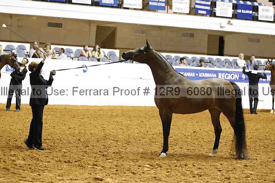 Proof 12r9_6080