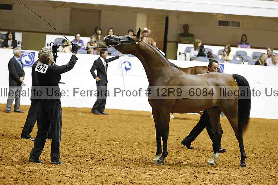 Proof 12r9_6084