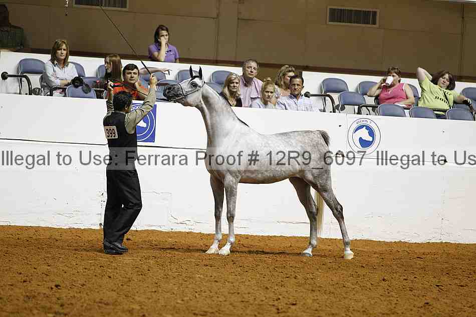 Proof 12r9_6097