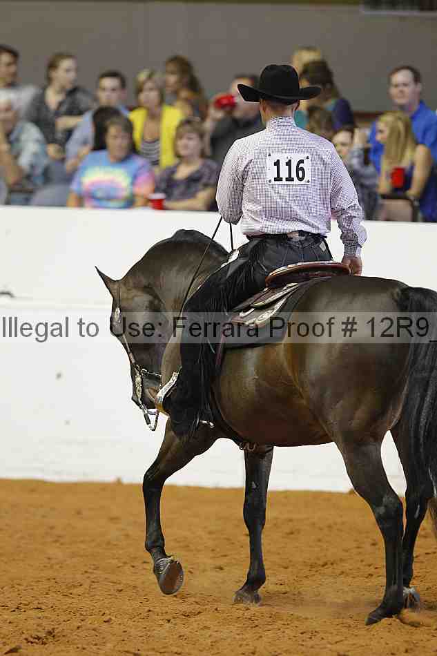 Proof 12r9_6192