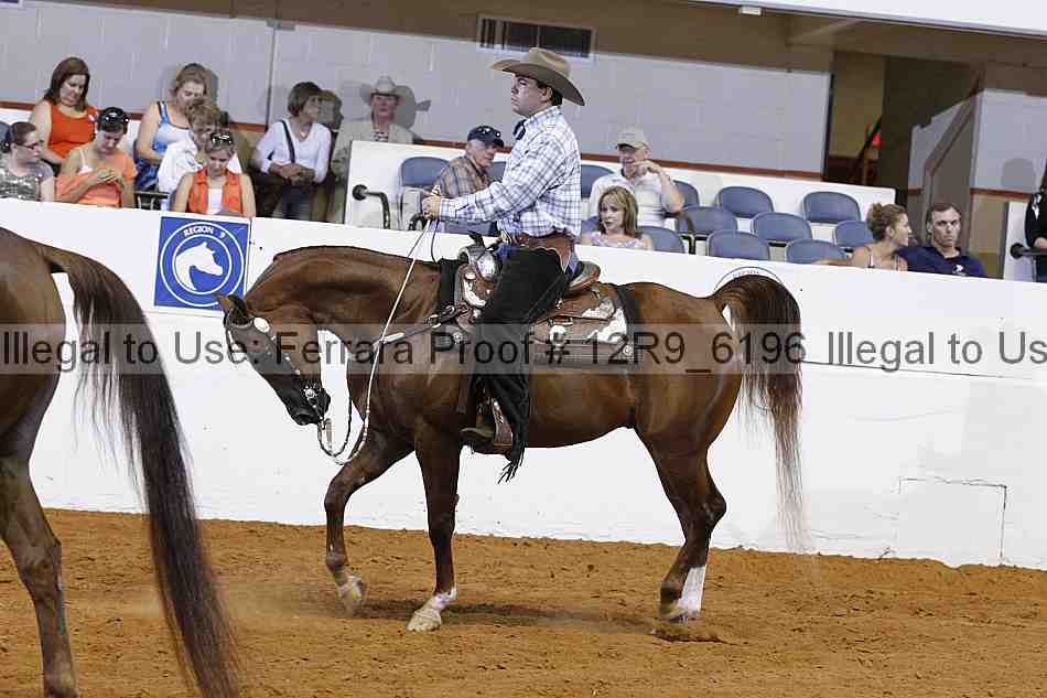 Proof 12r9_6196