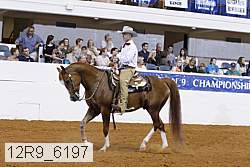 12r9_6197 proof