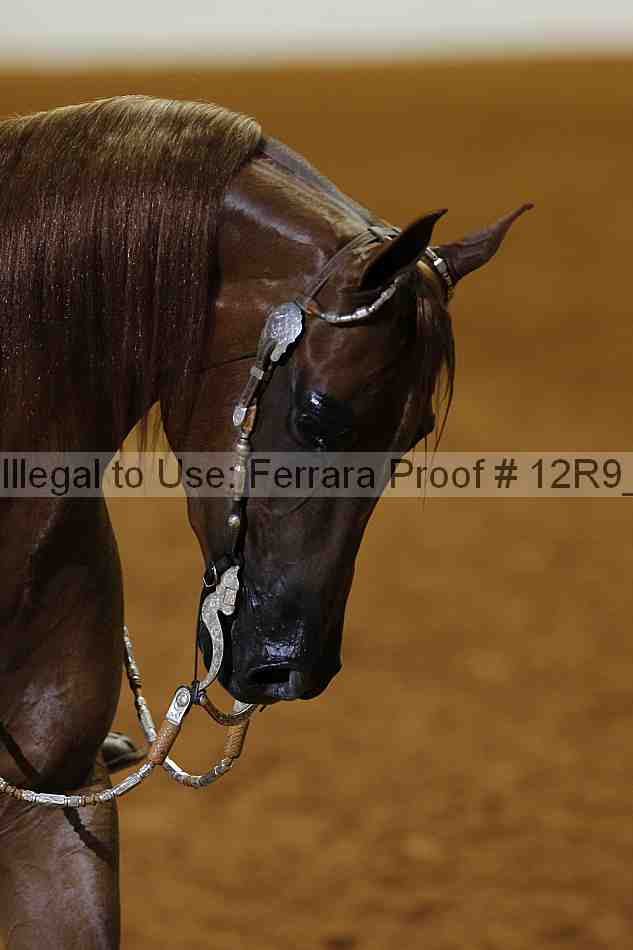 Proof 12r9_6202
