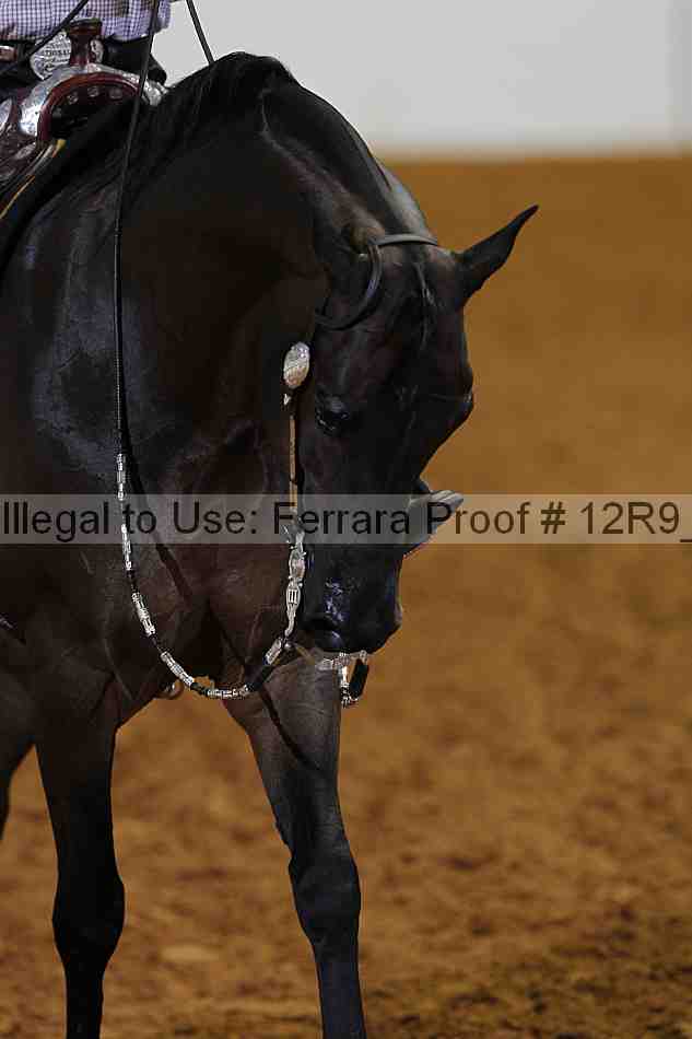 Proof 12r9_6206