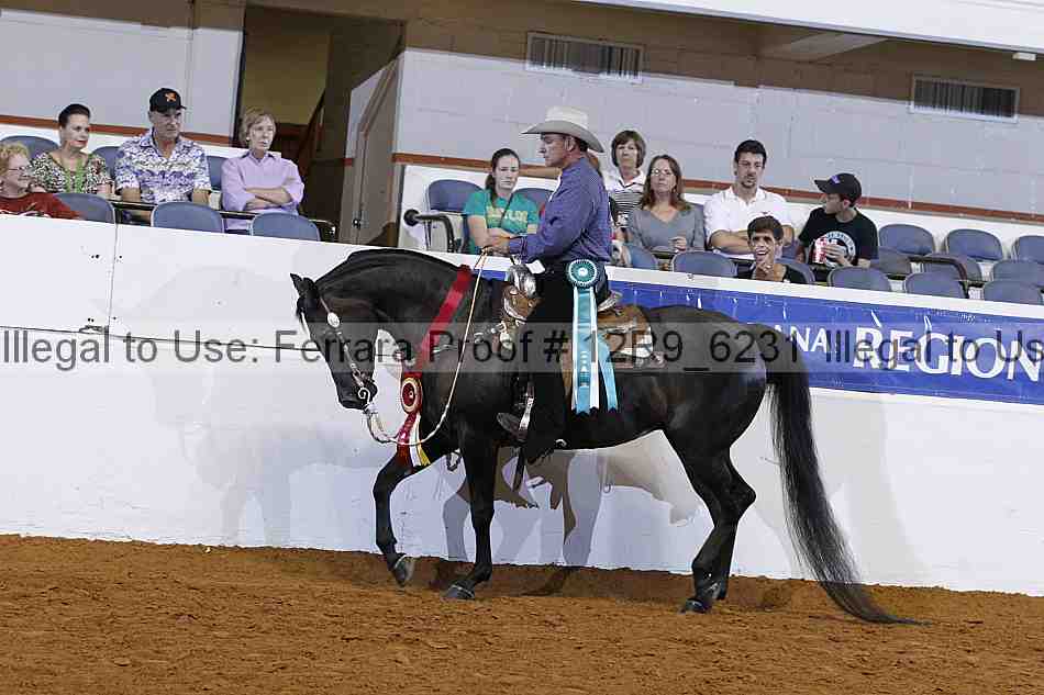Proof 12r9_6231