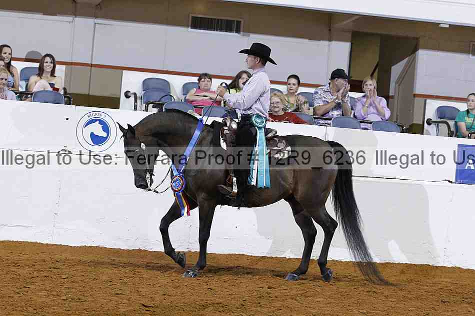 Proof 12r9_6236