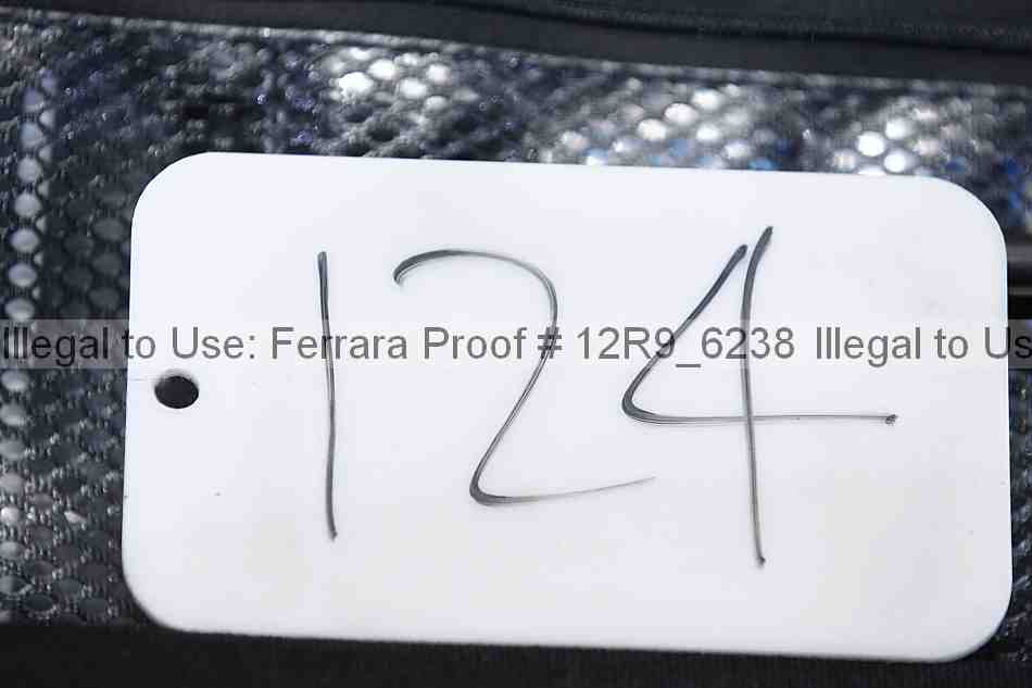 Proof 12r9_6238