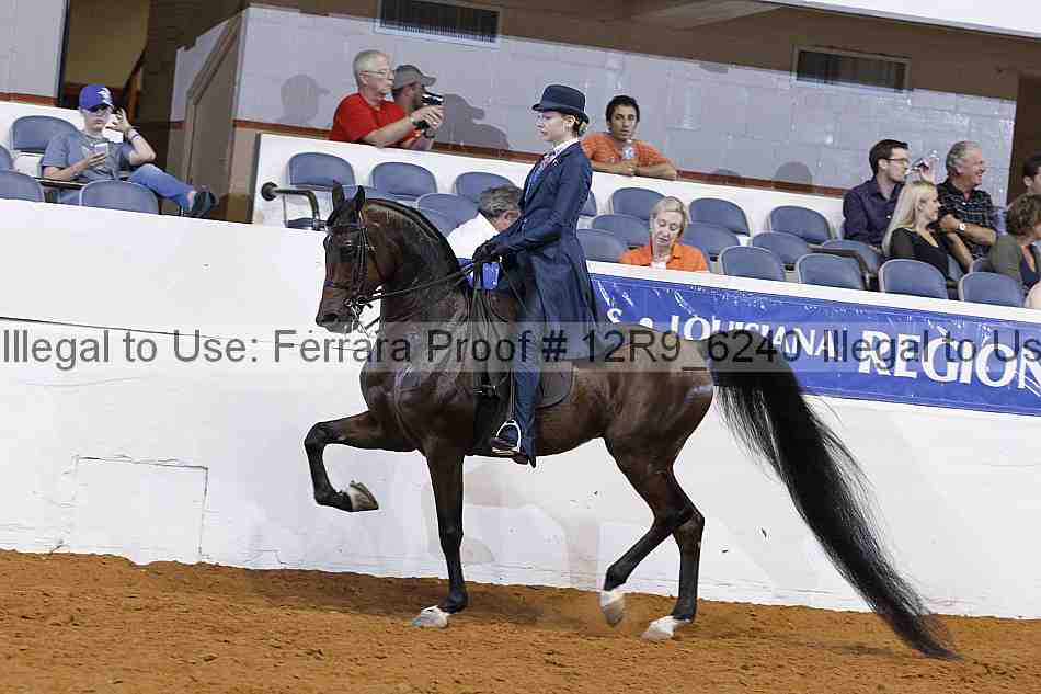 Proof 12r9_6240