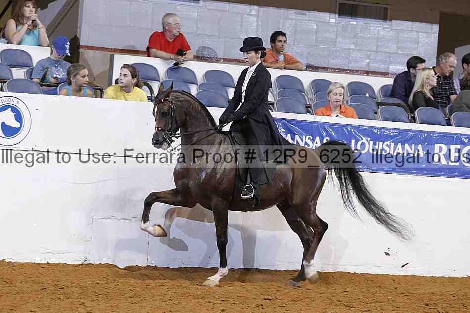 Proof 12r9_6252