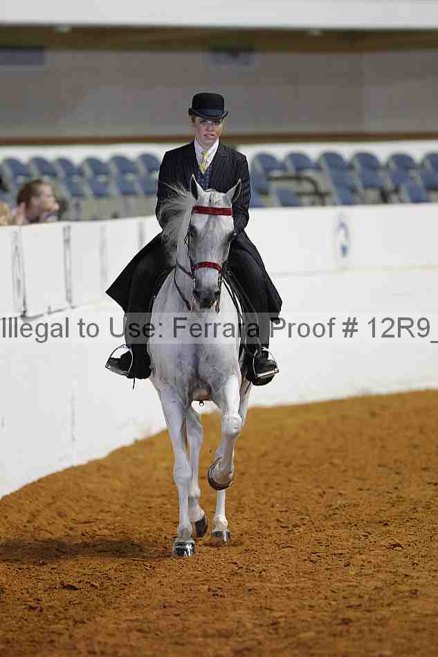 Proof 12r9_6253