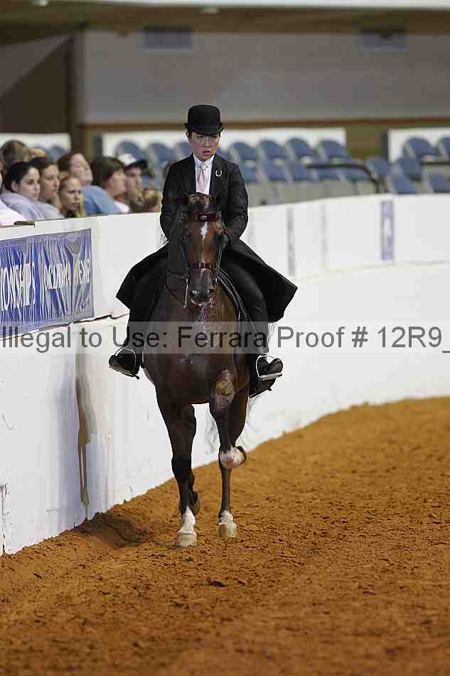 Proof 12r9_6256