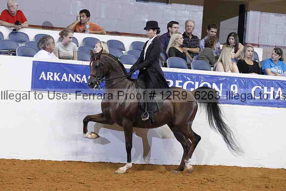 Proof 12r9_6263