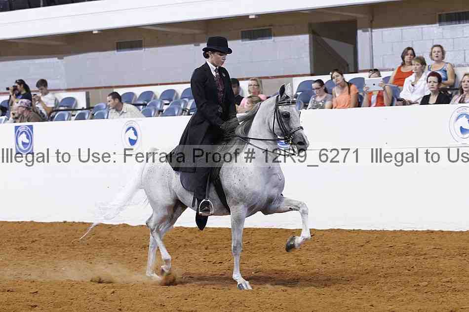 Proof 12r9_6271