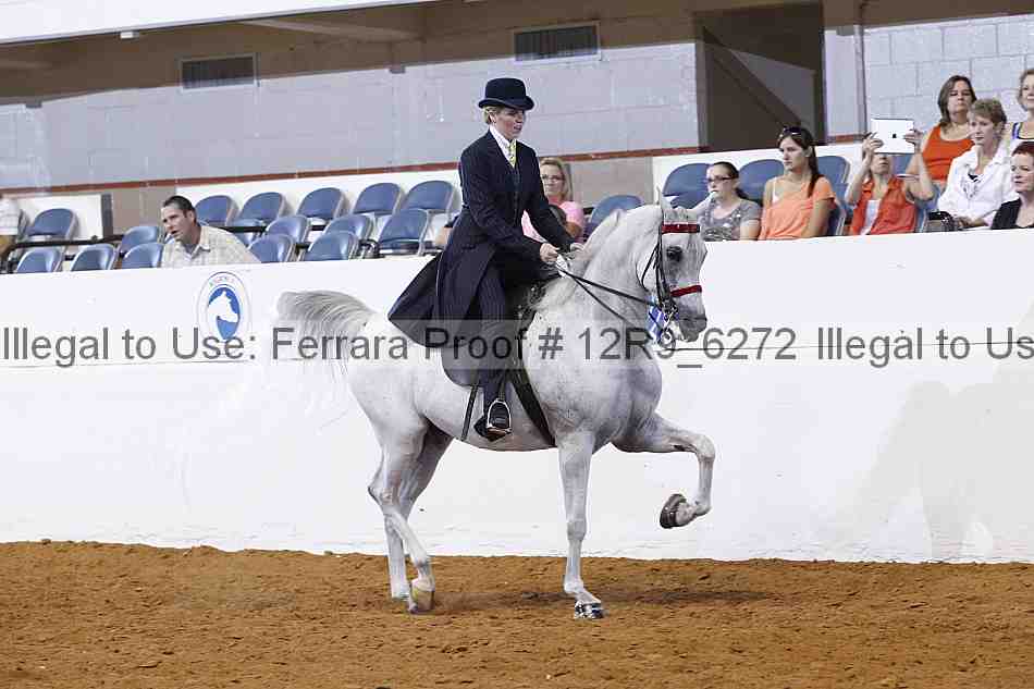 Proof 12r9_6272